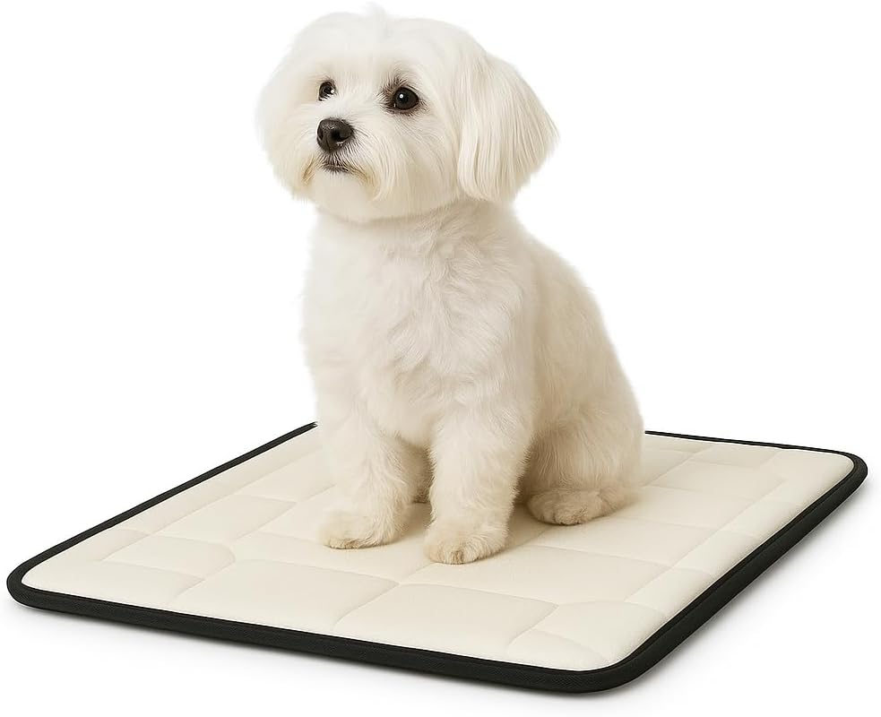 80x45 cm Ortopedik Küçük Köpek Yatağı | Yumuşak Peluş, Kaymaz Taban, Yıkanabilir, Destekleyici Süngerli Minder – Evcil Hayvan Konfor Yatağı