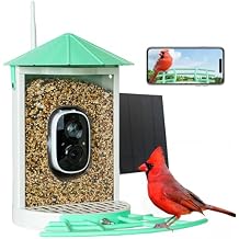 Birdkiss Smart Bird Feeder with Camera Solar, Auto Capture Bird Videos & Motion Detection, Birds Watching Camera Notify in Time, Metal Birds Feeder with Seed Guard, Ideal Present for Mom (Green)