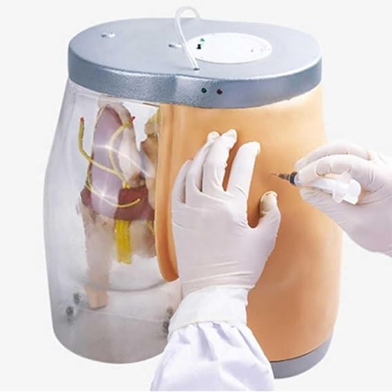 Buttock Injection Model Hip Injection Training Simulator Half-Transparent Buttock Muscle Injection Practice Model