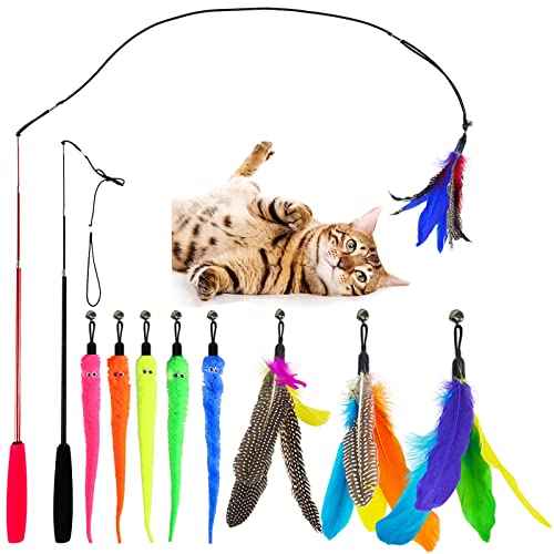 11 PCS Interactive Cat Feather Toys,2PCS Retractable Cat Wand Toys,9 Assorted Teaser Refills with Bell for Cat Kitten
