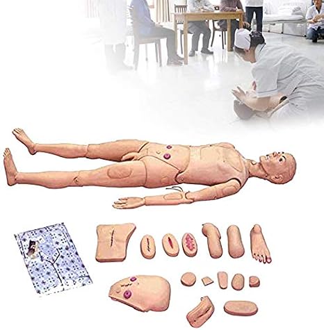 Multi-Functional Patient Care Simulator Male and Female Nursing Manikin Human Anatomical Model for Nursing Medical Training