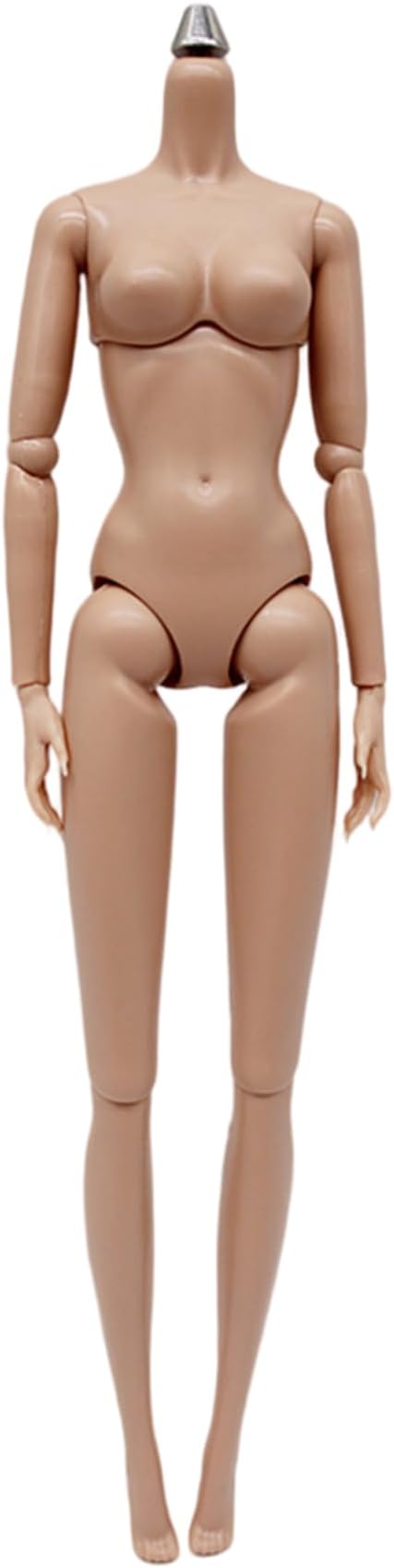 1/6 Scale Action Figure, Multi Jointed Movable Female Action Figure Body for Display Collection