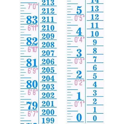 Tatuo Growth Chart Wall Labels Height Indicator Tape Ruler Growth Chart Decor Height Indicator Adhesive Ruler for Home Room MeasuringBlue