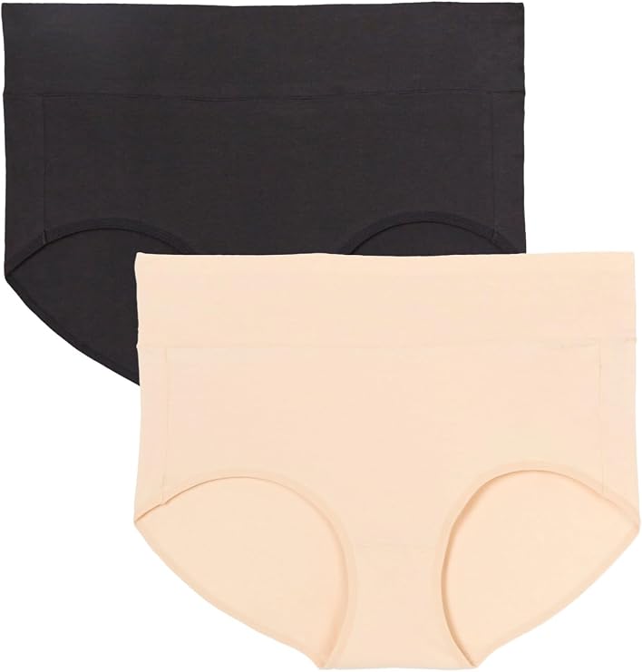 Comfort Choice Plus Size Cotton Spandex Comfort Waist Brief 2-Pack