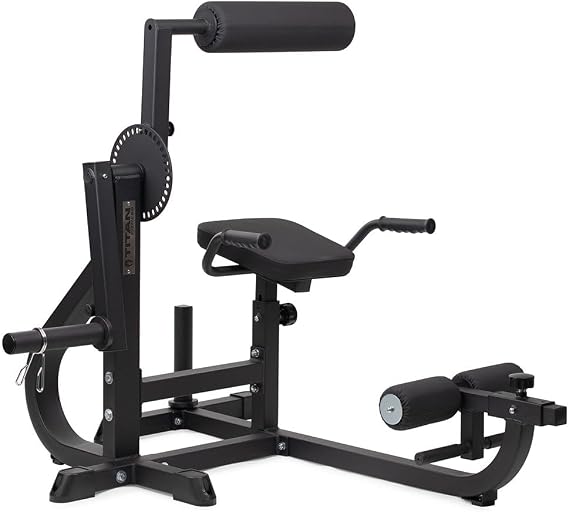 Titan Fitness Seated Ab/Back Extension Machine, Upper Body Abdominal Lower Back Machine, 220 LB Plate-Loaded Capacity, Core and Strength Training Workouts, Home Gym Machine