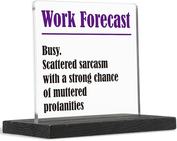 THRXOBN Cute Desk Decor for Coworker, Funny Profanity Gift for Work Colleague, Employee, Joke Birthday Office Gift for Coworker,Transparent Acrylic Desk Decoration, WYZ1
