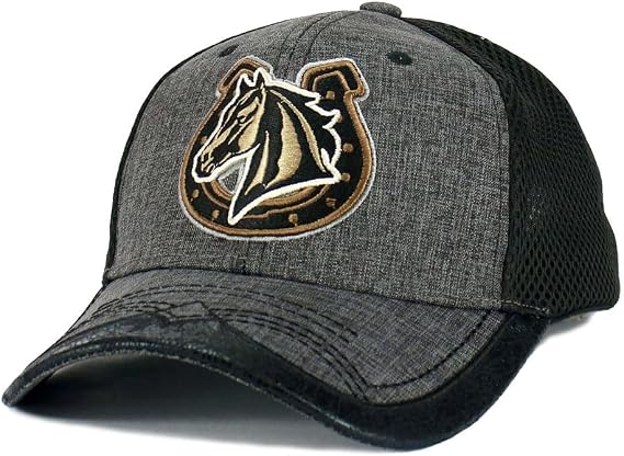Rodeo Cowboy Hat Bull Rider/Horse Western Trucker Mesh Snapback Baseball Cap