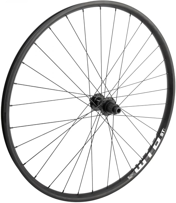 Wheel Master 29in Alloy Mountain Disc Double Wall 29in RR WTB ST TCS 2.0