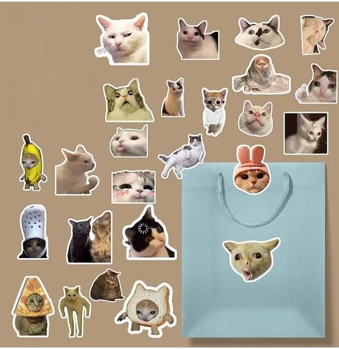 Komik Kedi/meme cat sticker paketi/bullet journal defter çıkartma ajanda laptop etiket