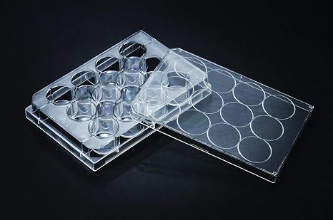 SPL Multi Well Culture Plate,PS,12 Wells, 85.4x127.6mm,TC Treated, Sterile to SAL 10-6, Case of 50