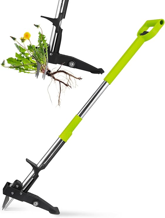 YISSVIC Weed Puller Stand-up No Installation Weed Removal Tool Stainless Steel 4-Claw with Foot Pedal, Telescopic Root Remover for Garden, Adjustable 100-120cm D-Shaped Non-Slip Handle (Green)