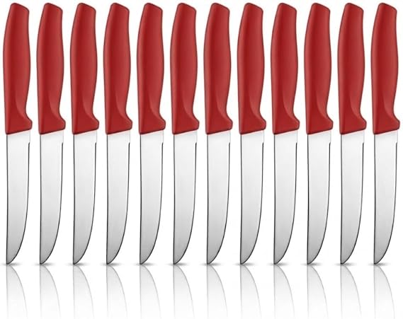 Paslanmaz Çelik Meyve Bıçağı Seti, Kırmızı Saplı, 12 Parça, Mutfak Bıçakları