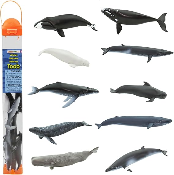 Safari Ltd. Whales TOOB, 10 Figurines, Blue, Humpback, Beluga, Sperm and Bowhead Species, Ocean Animal Figures for Kids, Dioramas and Marine Education, Ages 3+