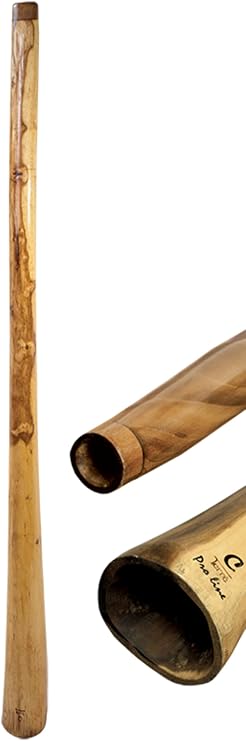 Terre Didgeridoo Eucalyptus Proline incl Bag 59-63in (KeyCis) Heavy 9lbs