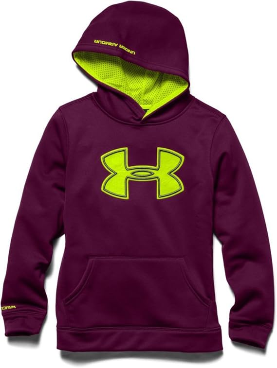 Under Armour Boys' Storm Armour Fleece Big Logo Hoodie