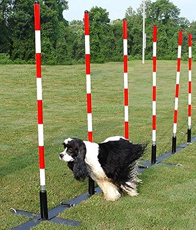 DogSport Dog Agility Weave Poles with Adjustable Spacing (Black)