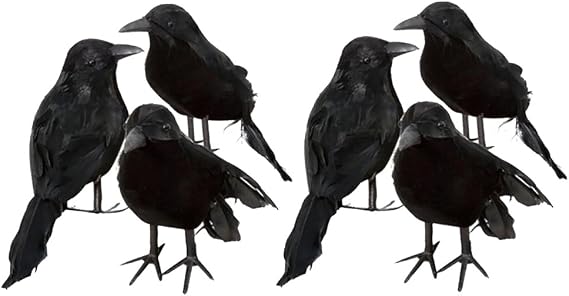 6 Pack Crows Artificial Bird Halloween Decor Raven Black Birds Black Feathered Crow Handmade Prop Decorations Realistic Animal Ornament Figurine Statue Model