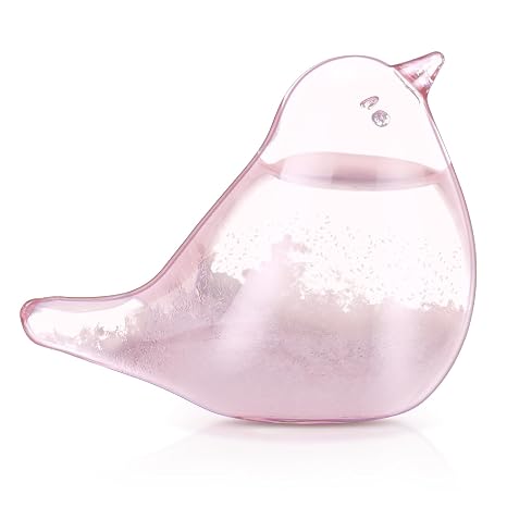 Weather Glass, Storm Glass Weather Forecaster, Bird Shape Bottle Liquid Barometer Weather Forecaster Weather Station for Office Desktop Home Decorative Christmas Birthday Valentines Day Gift