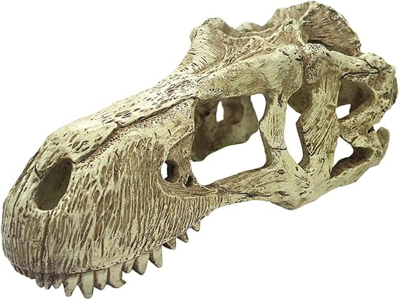 Komodo T-Rex Skull - XLarge