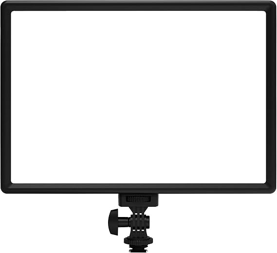 RALENO White LED Video Light for Camera with Built-in 4000mAh Battery