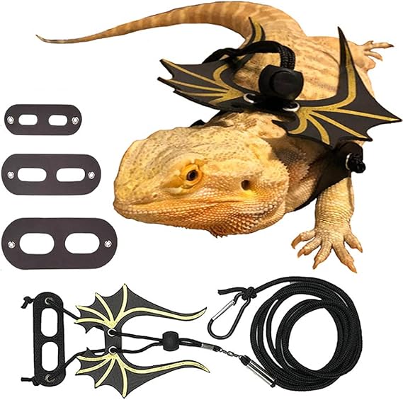 3-Size Bearded Dragon Lizard Reptiles Adjustable Leather Dinosaur Wings Harness Halloween Costumes Collar Leash for Other Small Pet Animals, Black