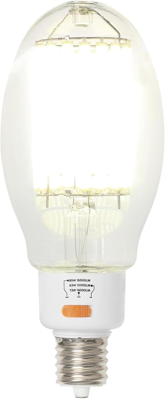 Westinghouse Lighting 5324000 63/73/85 Wattage Selectable (750/800/850 Watt Equivalent) ED37 Daylight High Lumen Filament LED Light Bulb, Extended Mogul Base