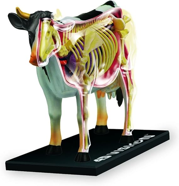 Tedco 4D Vision Cow Model