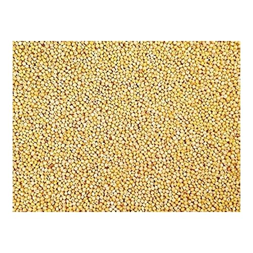 5 Pounds of White Millet