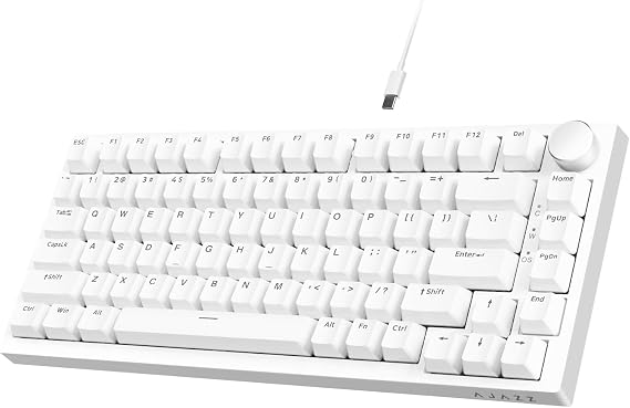 A.JAZZ AK820 75% TKL Wired Mechanical Keyboard with Hot-Swap Blue Switch | Gasket Mount, TKL 82 Keys, CNC Volume Knob, Poron Foam, Blue LED Backlit, OEM PBT Keycaps for Gaming/Office/PC/WIN/MAC-White