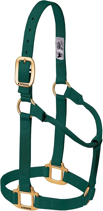 Weaver Leather Original Non-Adjustable Nylon Horse Halter, Weanling/Pony, Hunter Green