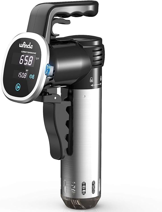 Wancle Dispositif Immersion Circulator Wand For Cooking Precision. Black