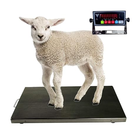 PEC Livestock Animal Scale/Farm Animal Scales for Weighing Small to Medium Sized Animals, Lamb, Goat, Sheep, Pigs, hogs, Donkey, Calf, Digital Indicator Included, Capacity 700lbs (38 x 20)
