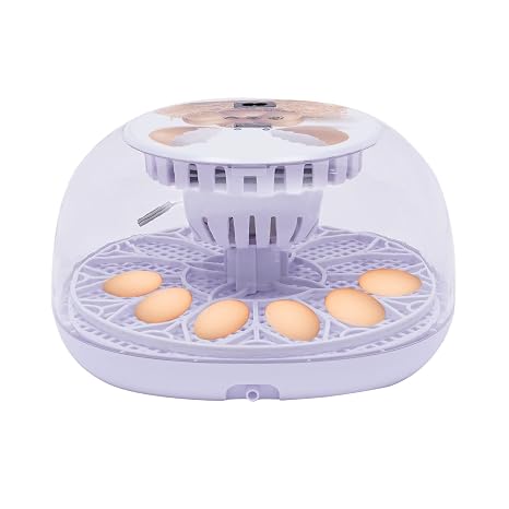 Egg Incubator, Digital 12 Eggs Incubator for Eggs Automatic Turning with Humidity & Temperature Control and Display, 20-50℃, Egg Hatcher for Hatching Chicken/Duck/Geese/Pigeon/Quail/Bird