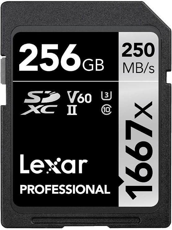 Lexar Professional 1667x SD Card 256 GB, SDXC UHS-II Memory Card, Reading up to 250 MB/s, Writing up to 120 MB/s, Professional Photographer for Class 10, U3, V60, SD, Videographer (LSD256CB1667)