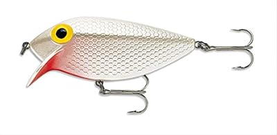 Storm Thin Fin 06 Fishing lure Bone, Size- 2.5