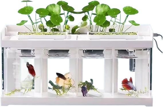 Fish Bowl 4 Compartments Acrylic Transparent Fish Tank Desktop Marine Fish Breeding Special Tank Creative Fighting Fish Aquarium with White Cover Aquariums