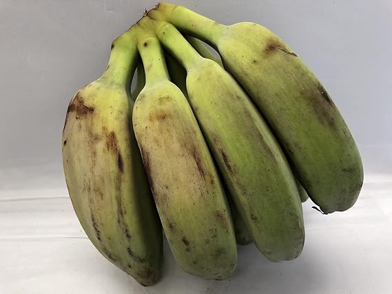 Saba Banana Philippines　1㎏