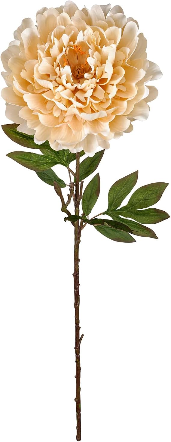 Ashland Cream Peony Stem, 12 Pack