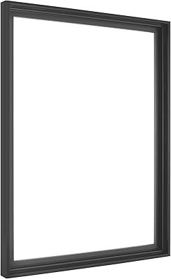 MCS Canvas Float Frames 18x24 Frame, Black Frame for Finished Canvases, Vertical & Horizontal Wall Hanging Large with Adhesive for Canvas Paintings 1-Pack
