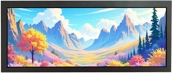VSDISPLAY 12.3'' Advertising LCD Monitor 1920X720 IPS Stretched Bar Display