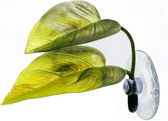 3 Pack Betta Fish Hammock Plant Leaf Pad Fish Spawning Grounds Breeding Resting Bed