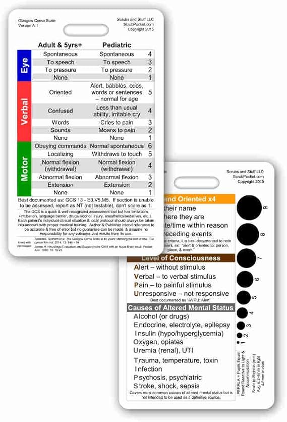 Glasgow Coma Scale (GCS) Vertical Reference Badge ID Card (1 Card)