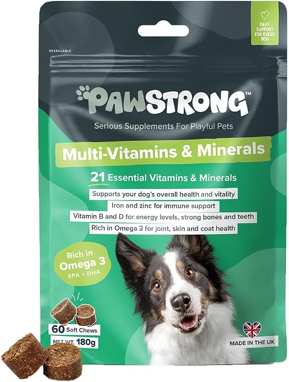 Multi-Vitamins & Minerals Soft Chew Dog Supplements – 21 Essential Nutrients for Daily Health, Energy, Joints, Skin & Coat with Omega 3 EPA & DHA – 60 Soft Chews