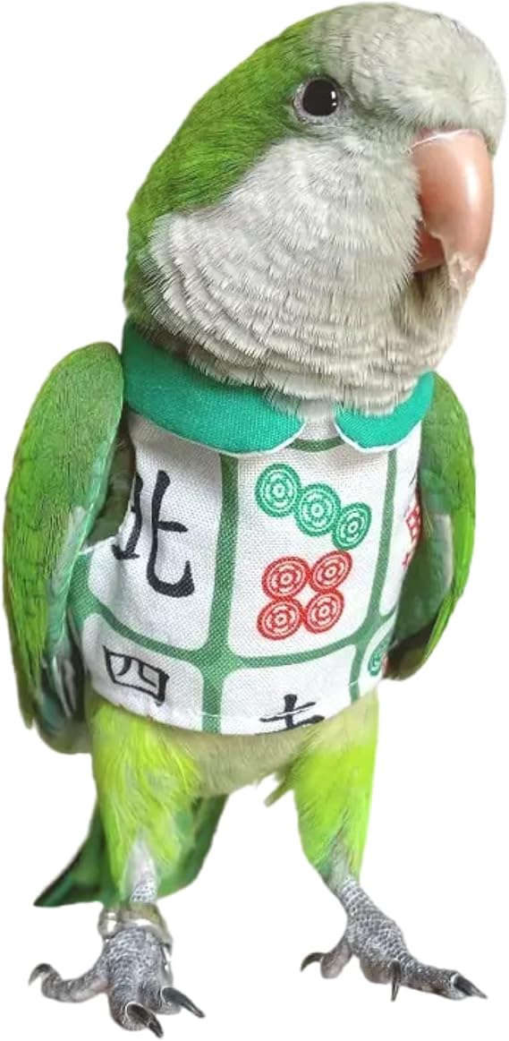 Bird Costume Bird Diaper Flight Suit Bird Summer Clothes Cosplay Photo Prop for Parrots Lovebird Parakeet Cockatiel Small Animals Apparel (with Diaper,Amazon)