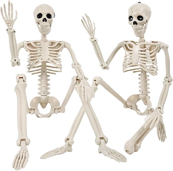 3Ft Halloween Decorations Outdoor/indoor, Two 36" Realistic Skull Skeletons