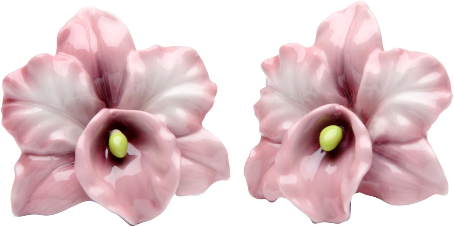 CG SS-CG-48518 Ceramic Pink Orchids Salt & Pepper Shaker Set, 2.5"