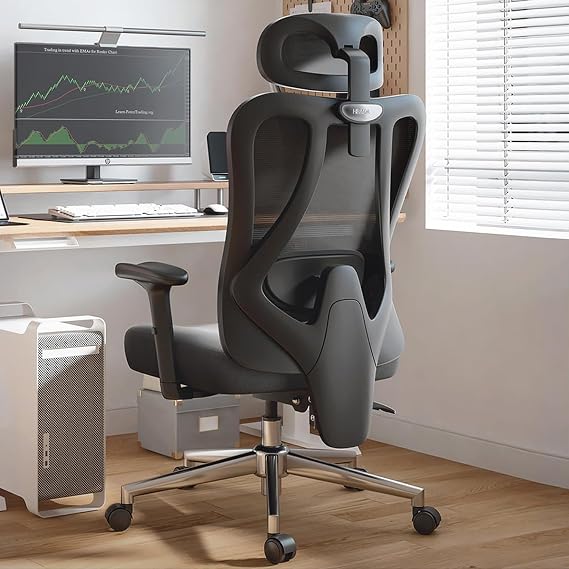 Hbada P3 Ergonnomic Office Chair with 2D Adjustable Lumbar Support, Office Chairs with Adjustable Headrest and Armrest, 145 Stepless Tilt Function, BlackNo Footrest