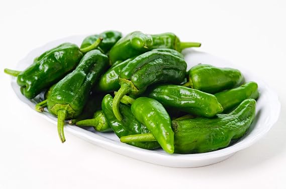 Pimentos De Padron Pepper Plants 6 Plants!
