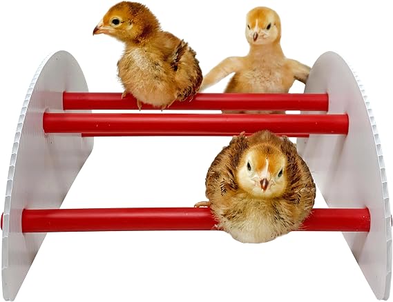 Pecking Order 9590 N-Play Chick brooder Accessory, Red
