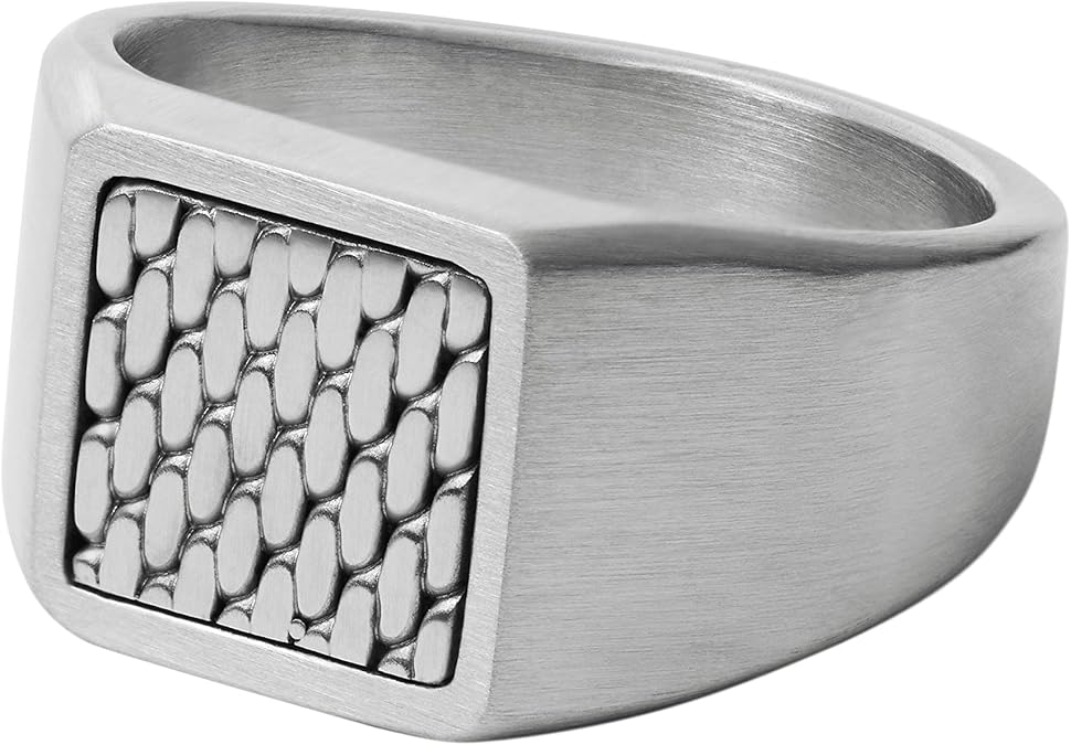 Skagen Men's Silver Stainless Steel Signet or Band Ring